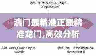 澳门最精准正最精准龙门,高效分析说明_LT30.76