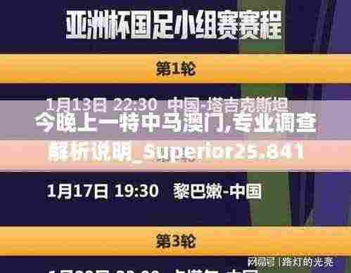 今晚上一特中马澳门,专业调查解析说明_Superior25.841