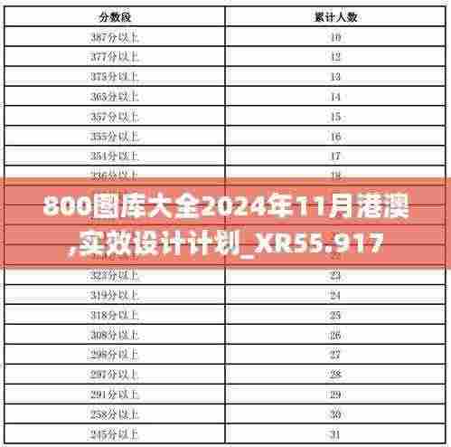 800图库大全2024年11月港澳,实效设计计划_XR55.917