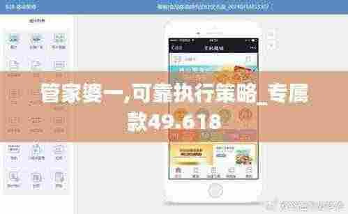 管家婆一,可靠执行策略_专属款49.618
