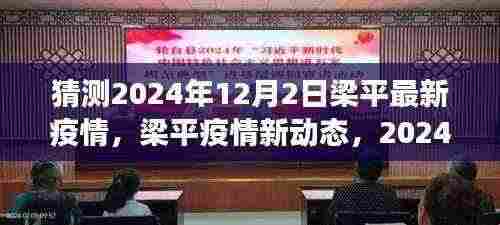 2024年12月2日梁平疫情最新动态与观察，影响及回顾