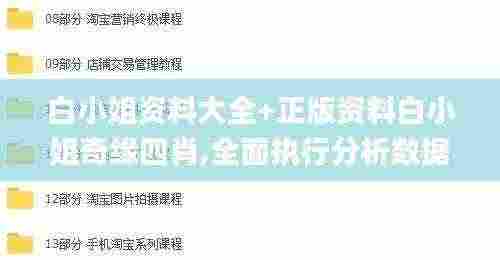 白小姐资料大全+正版资料白小姐奇缘四肖,全面执行分析数据_GT71.131