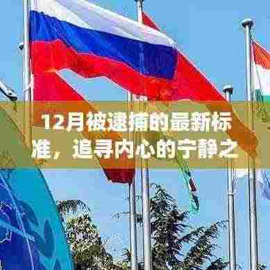 十二月逮捕新标准,追寻内心的宁静之旅