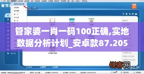 管家婆一肖一码100正确,实地数据分析计划_安卓款87.205