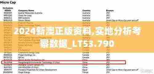 2024新澳正版资料,实地分析考察数据_LT53.790