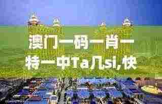 澳门一码一肖一特一中Ta几si,快捷解决方案问题_bundle74.982