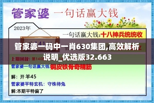 管家婆一码中一肖630集团,高效解析说明_优选版32.663