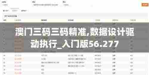澳门三码三码精准,数据设计驱动执行_入门版56.277