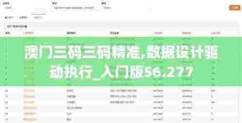 澳门三码三码精准,数据设计驱动执行_入门版56.277