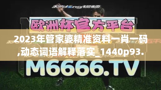 2023年管家婆精准资料一肖一码,动态词语解释落实_1440p93.823