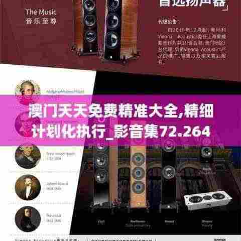 澳门天天免费精准大全,精细计划化执行_影音集72.264