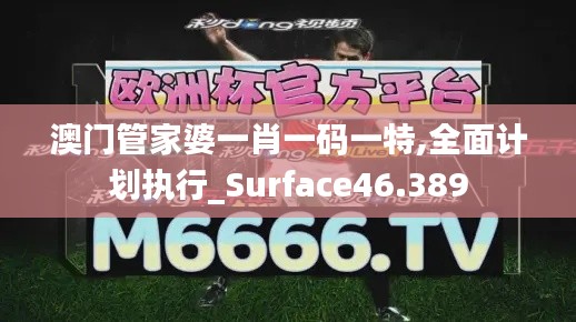 澳门管家婆一肖一码一特,全面计划执行_Surface46.389