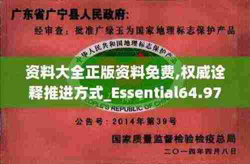 资料大全正版资料免费,权威诠释推进方式_Essential64.976