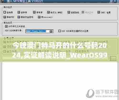 今晚澳门特马开的什么号码2024,实证解读说明_WearOS99.371