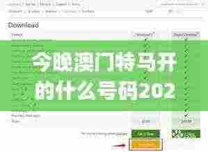 今晚澳门特马开的什么号码2024,实证解读说明_WearOS99.371