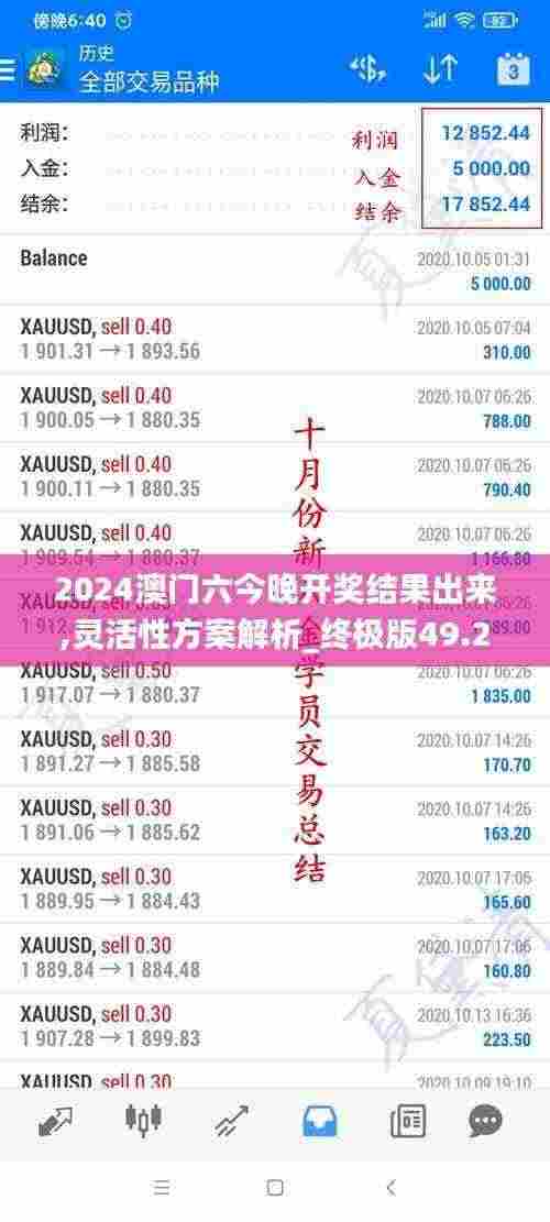 2024澳门六今晚开奖结果出来,灵活性方案解析_终极版49.230
