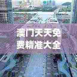 澳门天天免费精准大全,实践计划推进_解锁集16.089