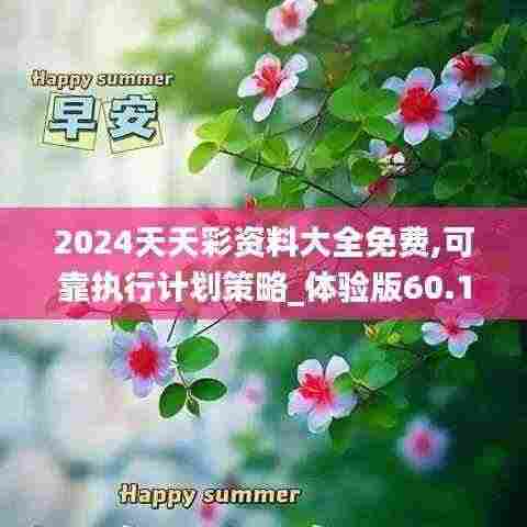 2024天天彩资料大全免费,可靠执行计划策略_体验版60.144
