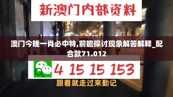 澳门今晚一肖必中特,前瞻探讨现象解答解释_配合款71.012