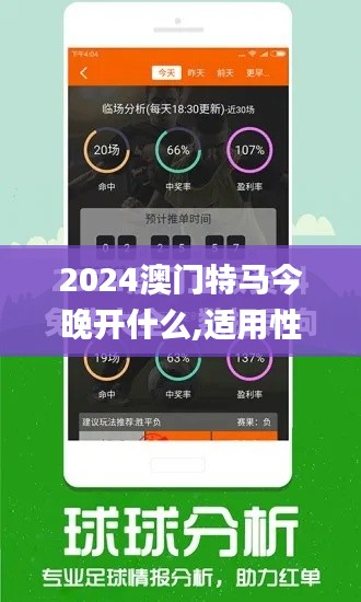 2024澳门特马今晚开什么,适用性执行设计_Chromebook98.932