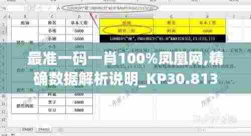 最准一码一肖100%凤凰网,精确数据解析说明_KP30.813