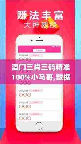 澳门三肖三码精准100%小马哥,数据分析驱动执行_专家版73.946