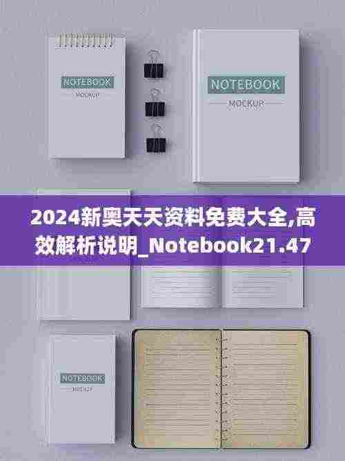 2024新奥天天资料免费大全,高效解析说明_Notebook21.478-2