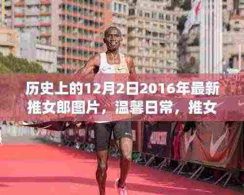 温馨日常与爱的纽带,历史上的推女郎图片回顾与故事分享(2016年12月2日)