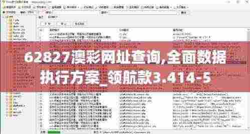 62827澳彩网址查询,全面数据执行方案_领航款3.414-5