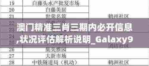 澳门精准三肖三期内必开信息,状况评估解析说明_Galaxy94.620-5