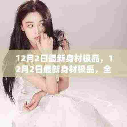 最新身材极品全面评测与介绍,12月2日更新