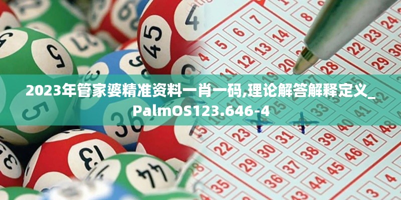 2023年管家婆精准资料一肖一码,理论解答解释定义_PalmOS123.646-4