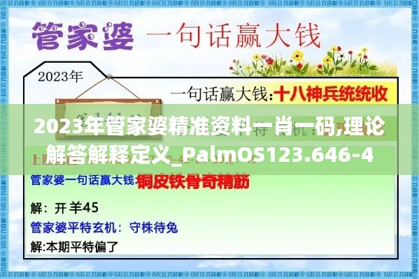 2023年管家婆精准资料一肖一码,理论解答解释定义_PalmOS123.646-4