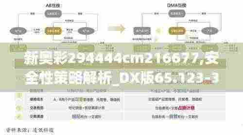 新奥彩294444cm216677,安全性策略解析_DX版65.123-3