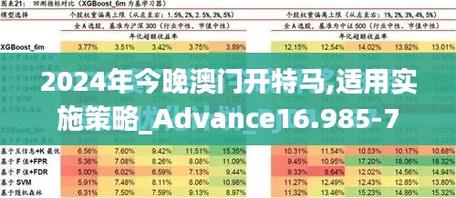 2024年今晚澳门开特马,适用实施策略_Advance16.985-7
