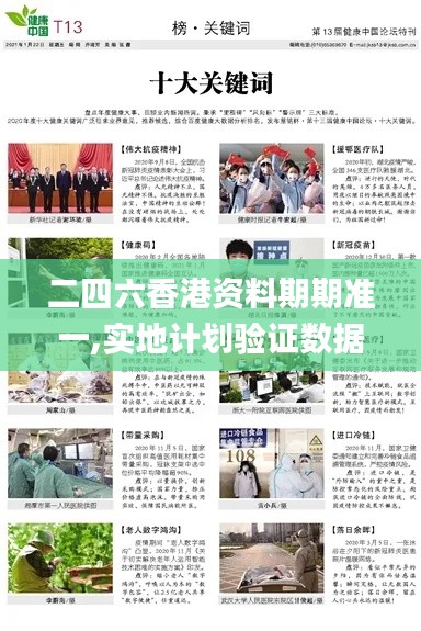 二四六香港资料期期准一,实地计划验证数据_HD89.127-1