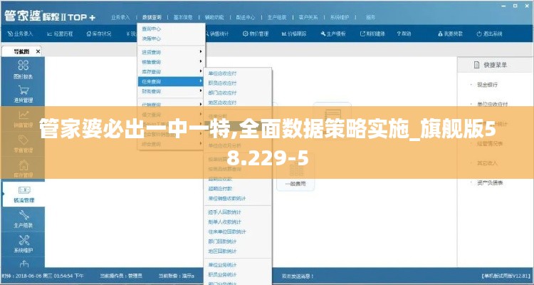 管家婆必出一中一特,全面数据策略实施_旗舰版58.229-5