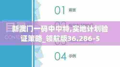 新澳门一码中中特,实地计划验证策略_领航版36.286-5