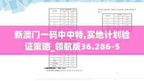 新澳门一码中中特,实地计划验证策略_领航版36.286-5