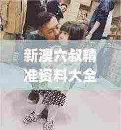 新澳六叔精准资料大全,权威分析说明_动态版12.383-1