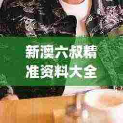 新澳六叔精准资料大全,权威分析说明_动态版12.383-1