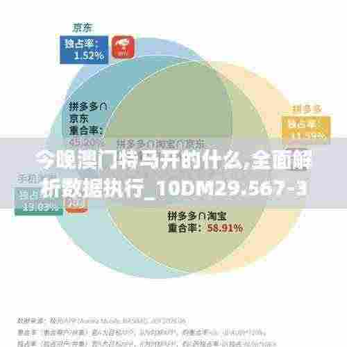 今晚澳门特马开的什么,全面解析数据执行_10DM29.567-3