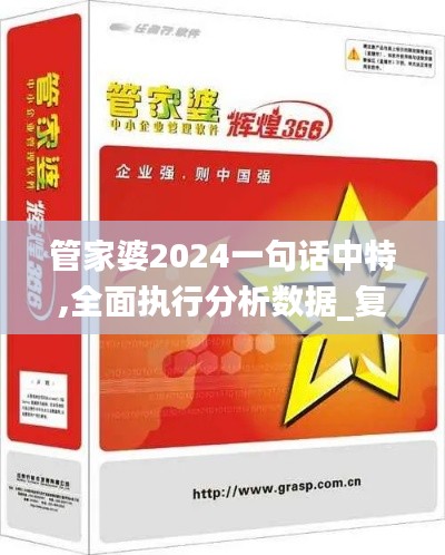 管家婆2024一句话中特,全面执行分析数据_复古款32.876-3