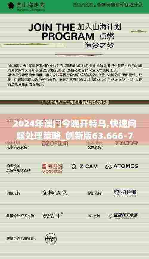 2024年澳门今晚开特马,快速问题处理策略_创新版63.666-7