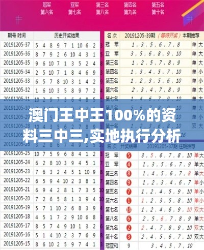 澳门王中王100%的资料三中三,实地执行分析数据_vShop31.967-2