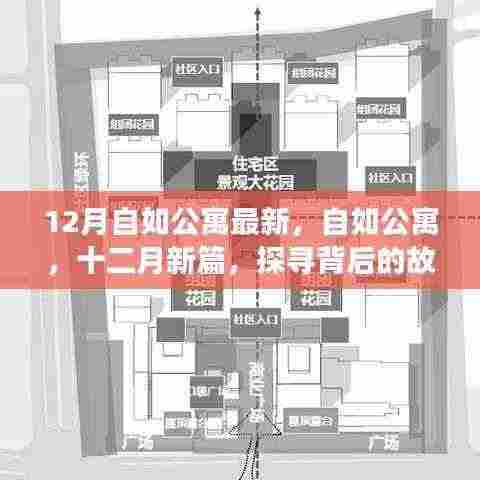 探寻自如公寓背后的故事与影响,十二月新篇揭秘最新动态
