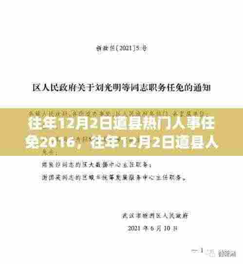 往年12月2日道县人事任免详解,跟进人事变动的关键信息指南