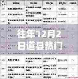 往年12月2日道县人事任免详解，跟进人事变动的关键信息指南