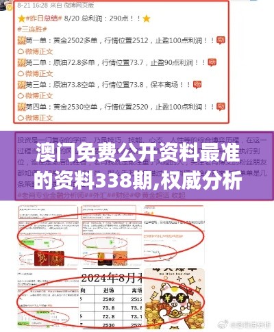 澳门免费公开资料最准的资料338期,权威分析说明_黄金版114.672-9