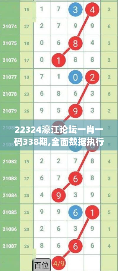 22324濠江论坛一肖一码338期,全面数据执行方案_Advance51.558-9